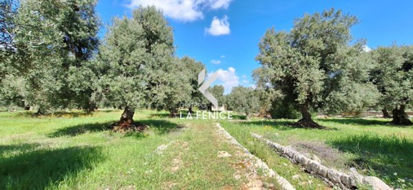 casale in vendita a Fasano in zona Laureto