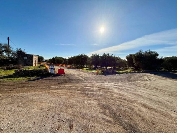 terreno agricolo in vendita a Fasano