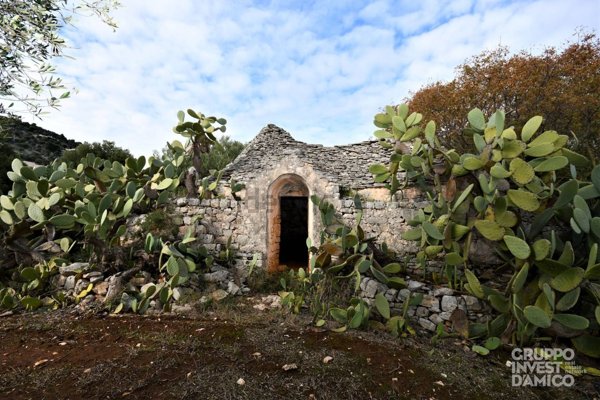 pentavano in vendita a Fasano