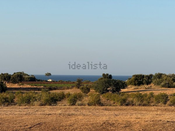 terreno agricolo in vendita a Fasano in zona Savelletri