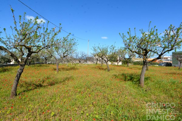 terreno edificabile in vendita a Fasano