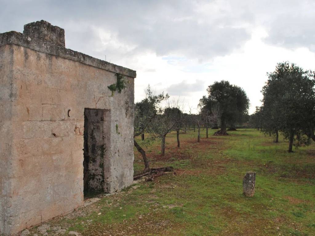 terreno agricolo in vendita a Fasano in zona Torre Canne