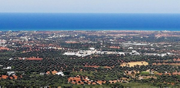 appartamento in vendita a Fasano in zona Savelletri