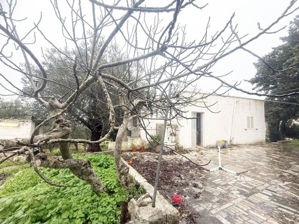 casa indipendente in vendita a Fasano