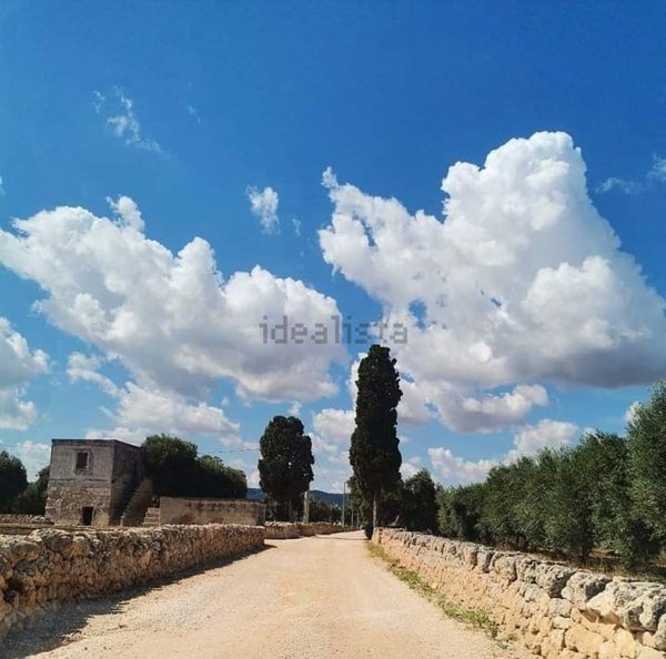 terreno agricolo in vendita a Fasano