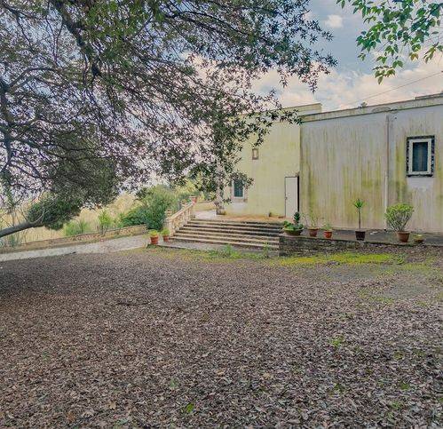 casa indipendente in vendita a Fasano