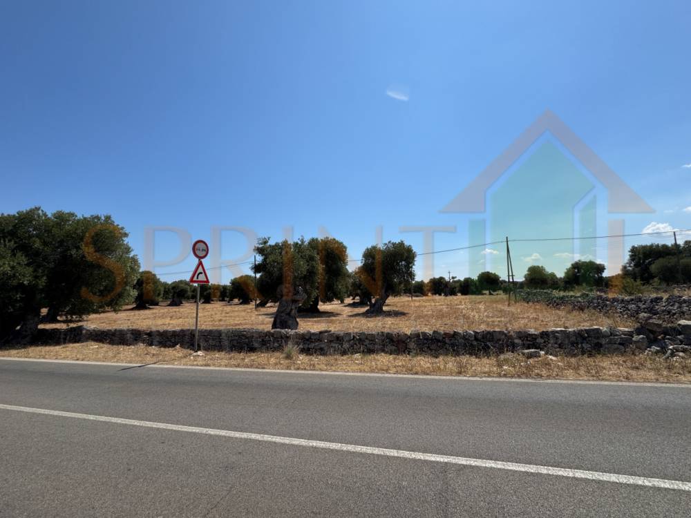terreno agricolo in vendita a Fasano