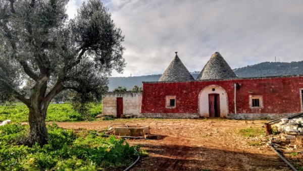 casa indipendente in vendita a Fasano