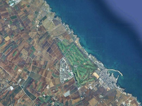 terreno agricolo in vendita a Fasano in zona Torre Canne