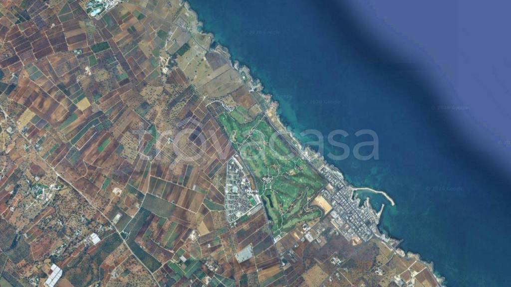 terreno agricolo in vendita a Fasano