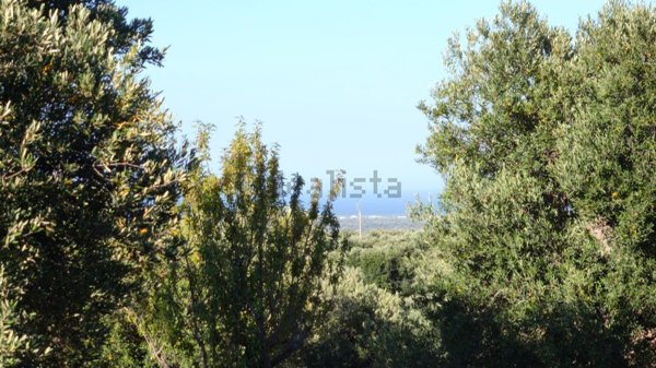 appartamento in vendita a Fasano