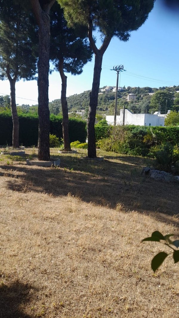 casa indipendente in vendita a Fasano