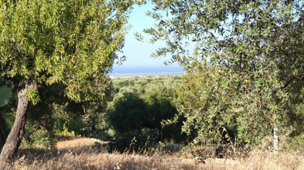 casa indipendente in vendita a Fasano