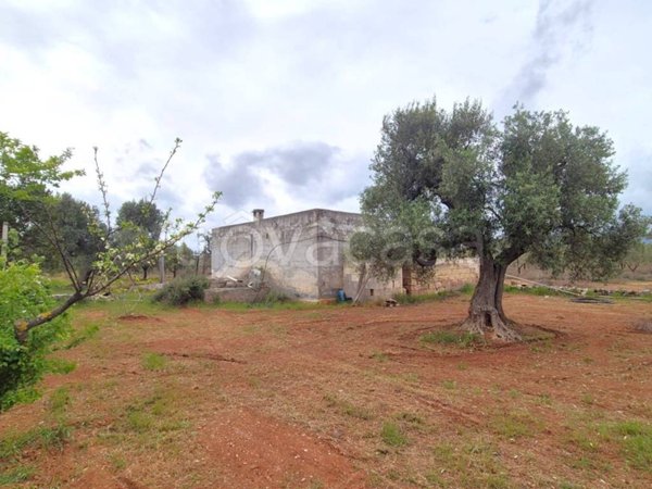 terreno agricolo in vendita a Fasano in zona Speziale