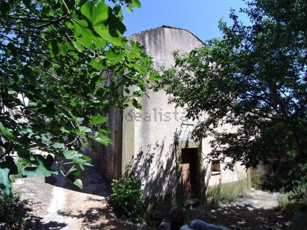 esavano in vendita a Fasano