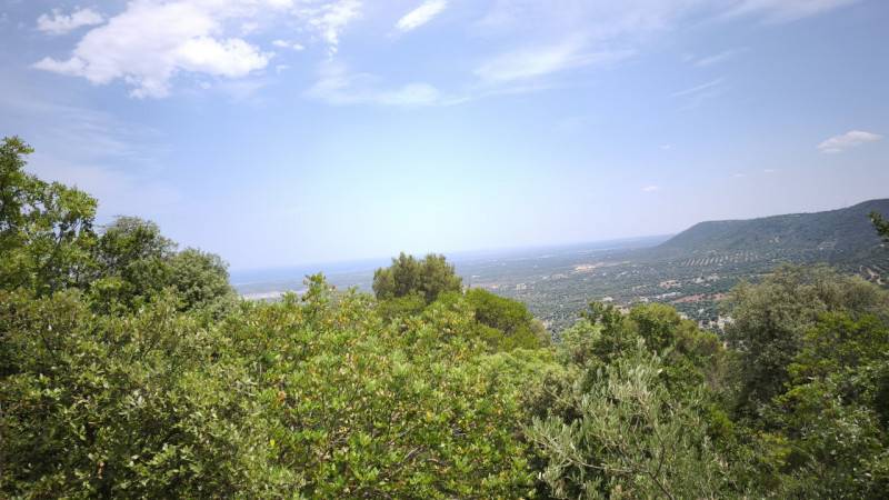 casale in vendita a Fasano in zona Laureto