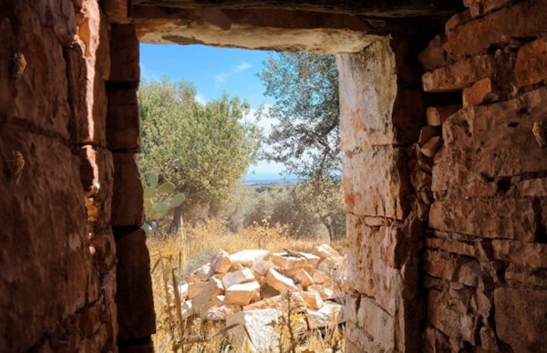 casa indipendente in vendita a Fasano