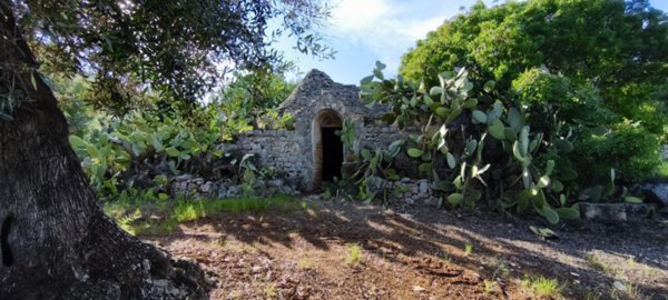 casale in vendita a Fasano