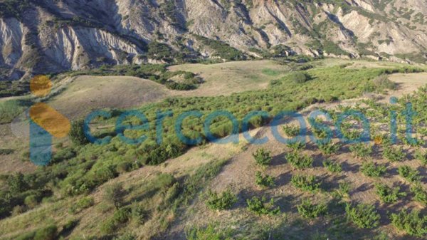 terreno agricolo in vendita a Fasano