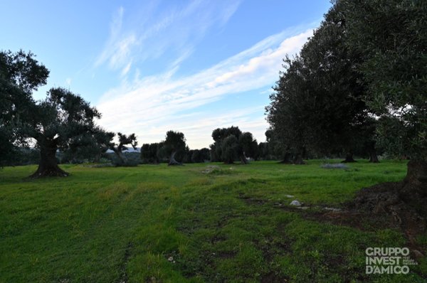 terreno edificabile in vendita a Fasano