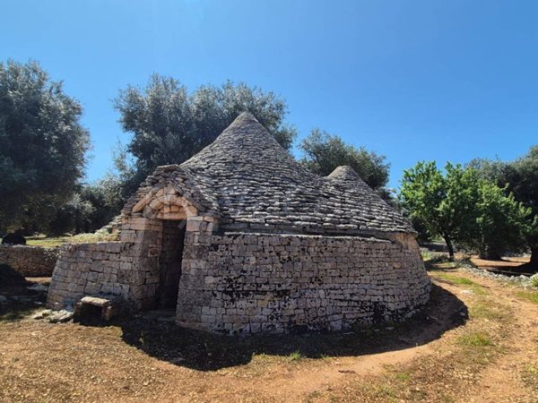 appartamento in vendita a Fasano