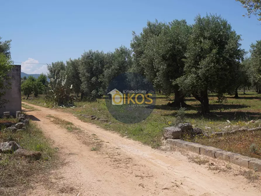 terreno agricolo in vendita a Fasano in zona Savelletri