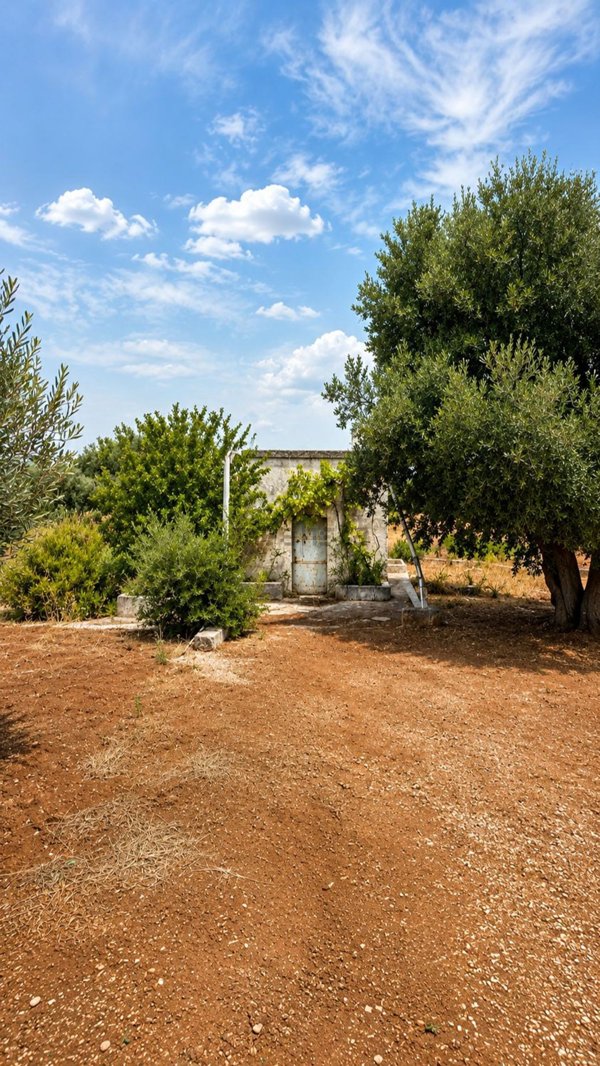 terreno edificabile in vendita a Fasano