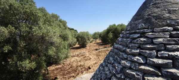 trullo in vendita a Fasano