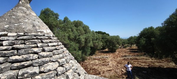 trullo in vendita a Fasano