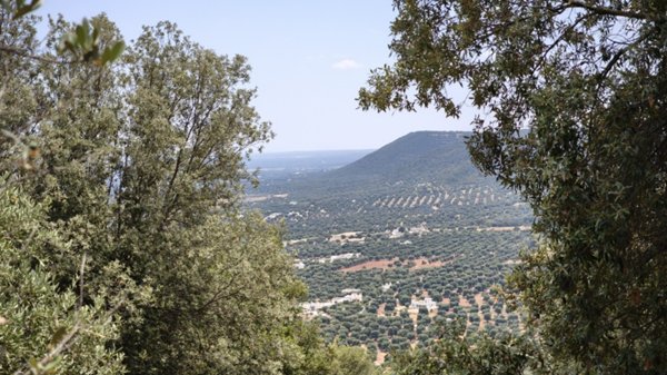 casale in vendita a Fasano in zona Laureto
