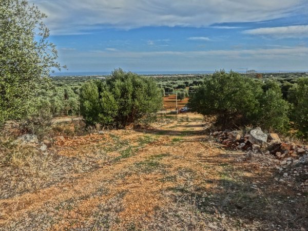 terreno in vendita a Fasano