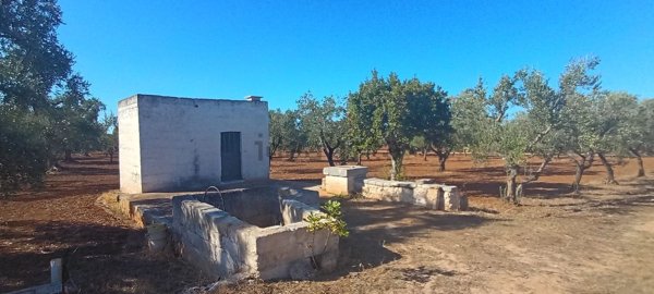 terreno in vendita a Fasano