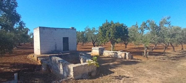 terreno in vendita a Fasano