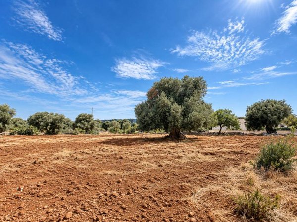 terreno in vendita a Fasano