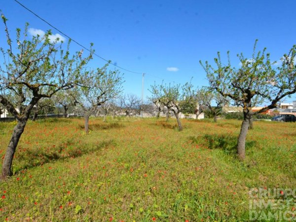 terreno in vendita a Fasano