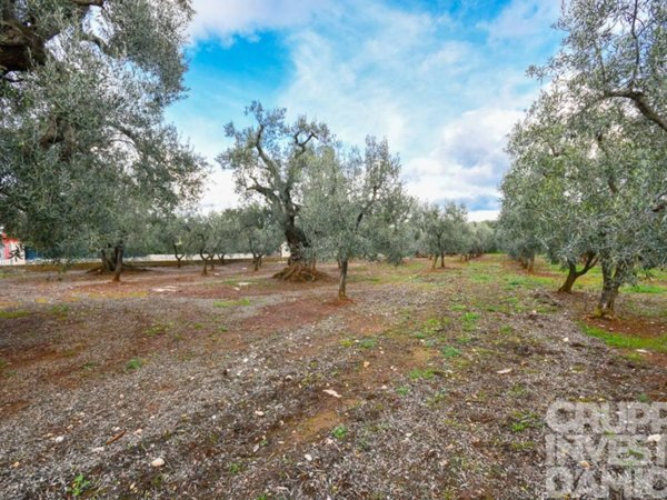 terreno in vendita a Fasano