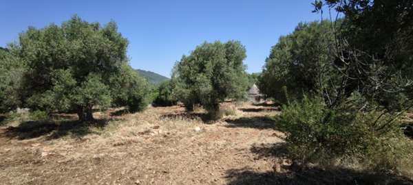 trullo in vendita a Fasano