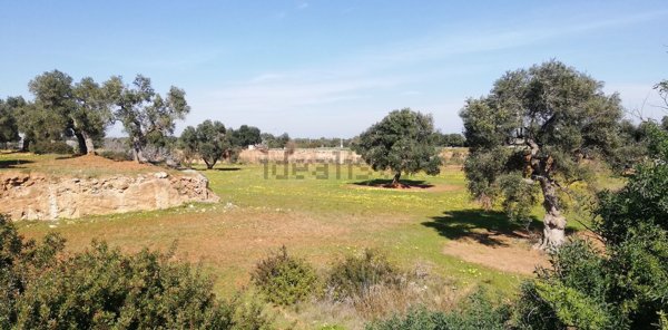 terreno in vendita a Fasano