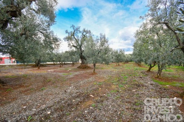terreno in vendita a Fasano