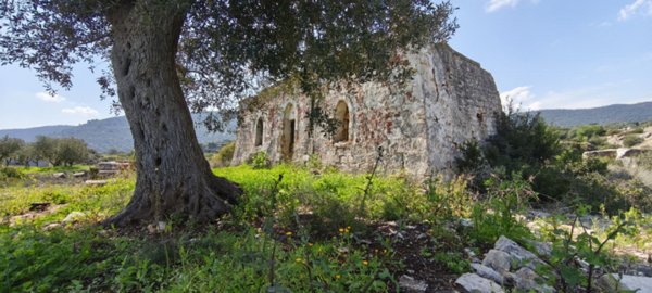 casa indipendente in vendita a Fasano