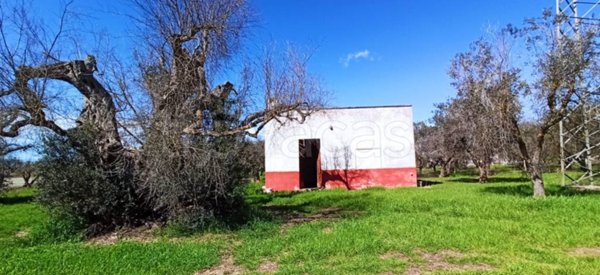 casa indipendente in vendita a Francavilla Fontana