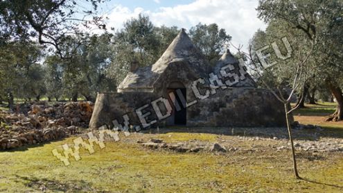 terreno agricolo in vendita a Francavilla Fontana