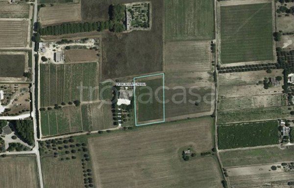 casa indipendente in vendita a Francavilla Fontana