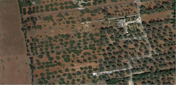 appartamento in vendita a Francavilla Fontana