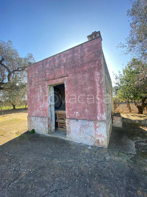terreno agricolo in vendita a Francavilla Fontana