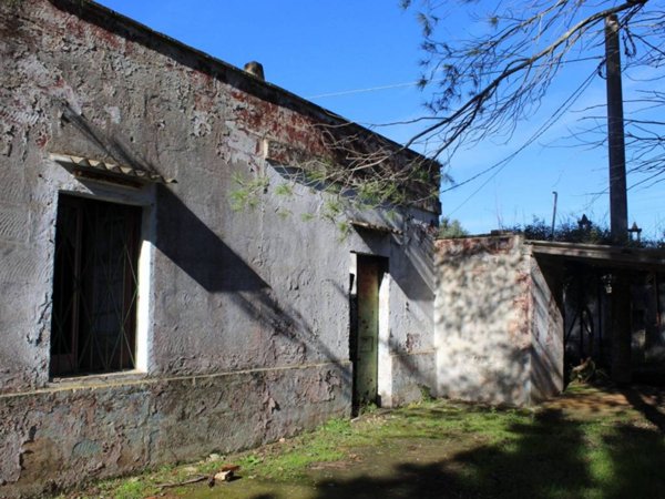 terreno agricolo in vendita a Francavilla Fontana