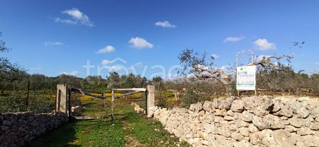 casa indipendente in vendita a Francavilla Fontana