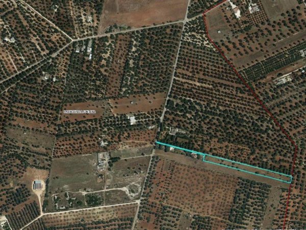 terreno agricolo in vendita a Francavilla Fontana