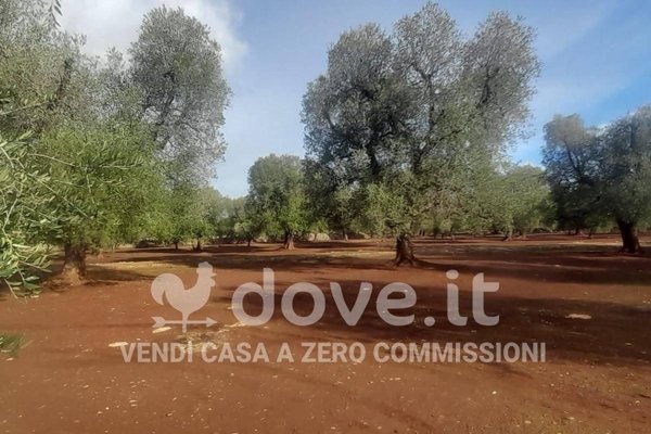 casa indipendente in vendita a Francavilla Fontana