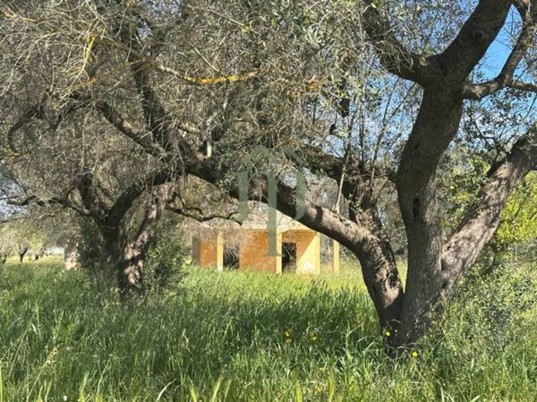 casa indipendente in vendita a Francavilla Fontana